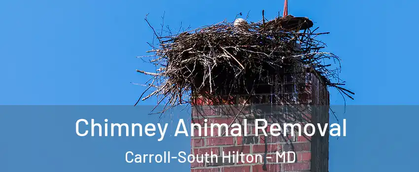 Chimney Animal Removal Carroll-South Hilton - MD