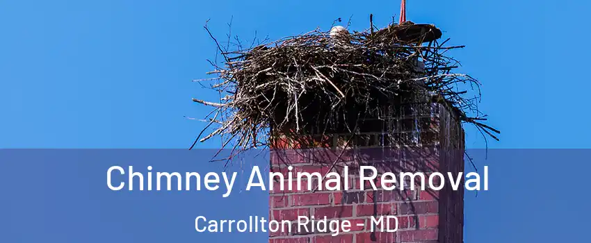 Chimney Animal Removal Carrollton Ridge - MD