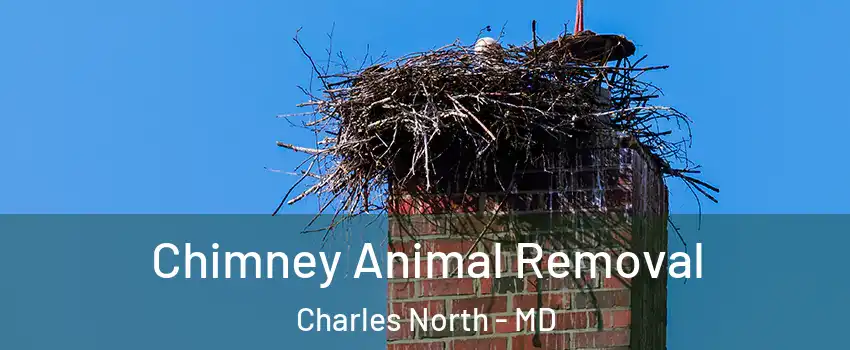 Chimney Animal Removal Charles North - MD