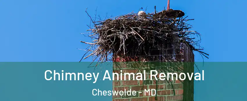 Chimney Animal Removal Cheswolde - MD