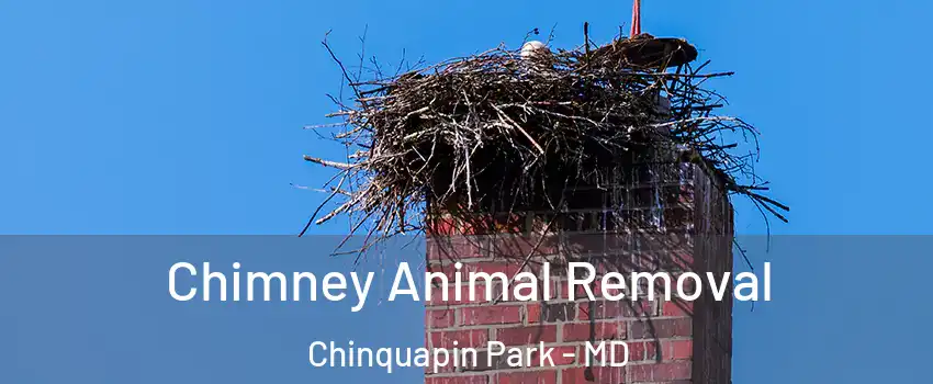 Chimney Animal Removal Chinquapin Park - MD