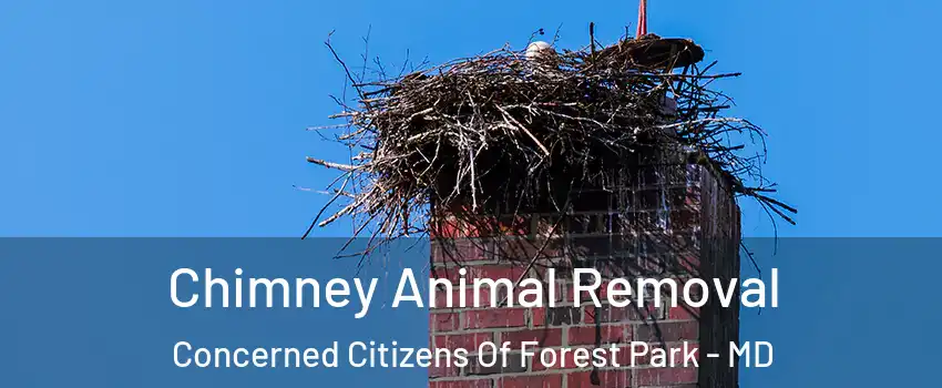 Chimney Animal Removal Concerned Citizens Of Forest Park - MD
