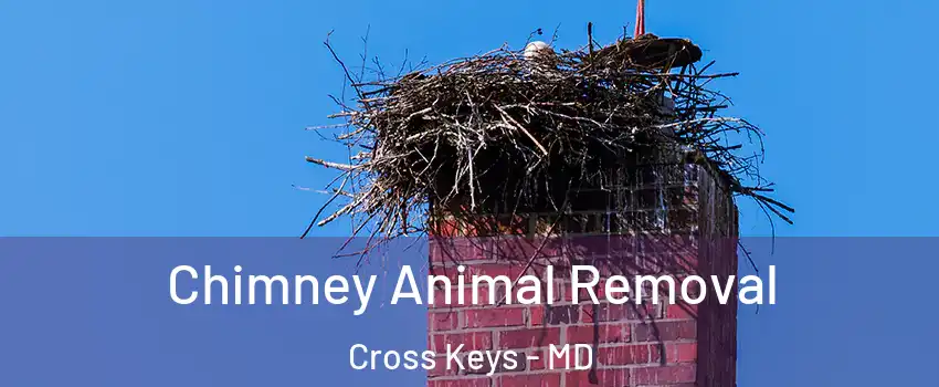Chimney Animal Removal Cross Keys - MD