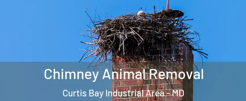 Chimney Animal Removal Curtis Bay Industrial Area - MD