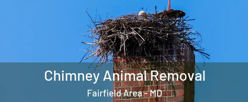 Chimney Animal Removal Fairfield Area - MD
