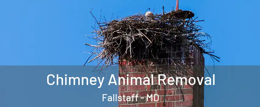 Chimney Animal Removal Fallstaff - MD