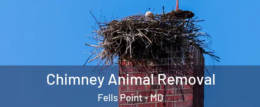 Chimney Animal Removal Fells Point - MD