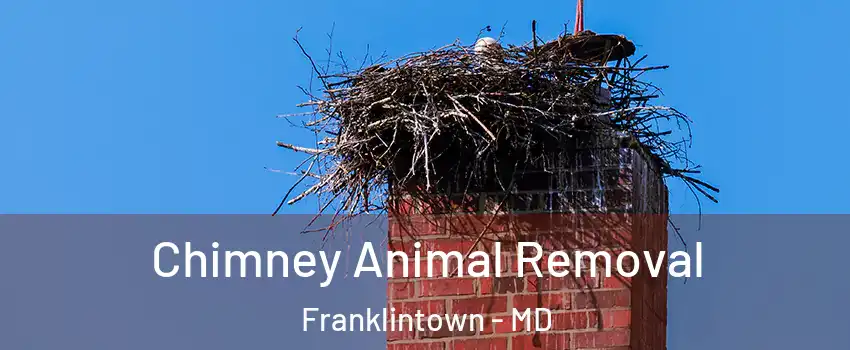 Chimney Animal Removal Franklintown - MD