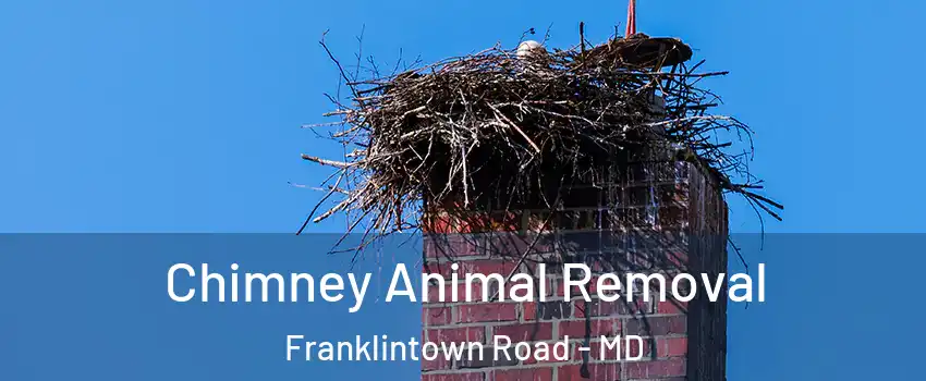Chimney Animal Removal Franklintown Road - MD