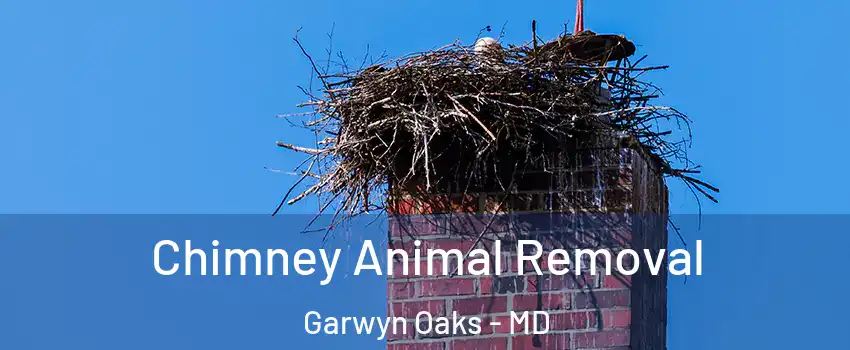 Chimney Animal Removal Garwyn Oaks - MD