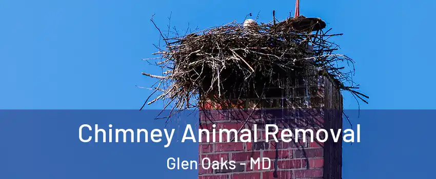 Chimney Animal Removal Glen Oaks - MD