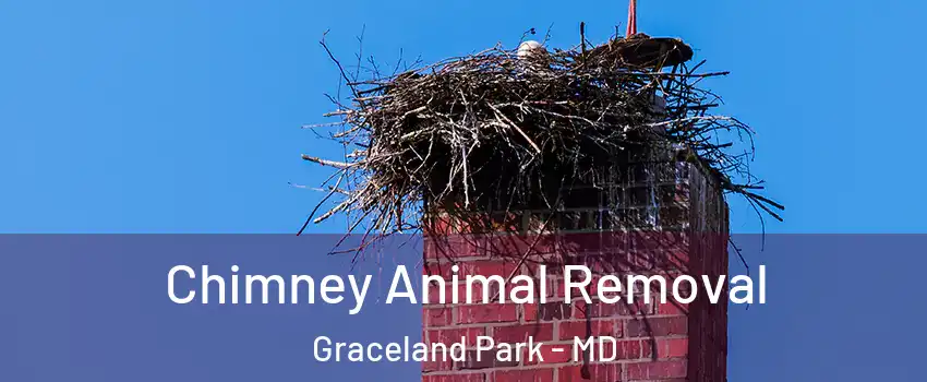 Chimney Animal Removal Graceland Park - MD