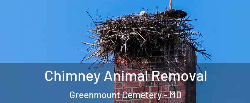 Chimney Animal Removal Greenmount Cemetery - MD