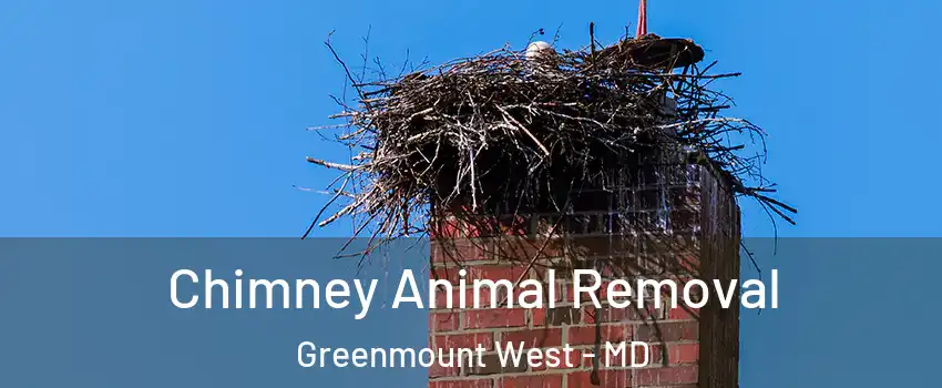 Chimney Animal Removal Greenmount West - MD