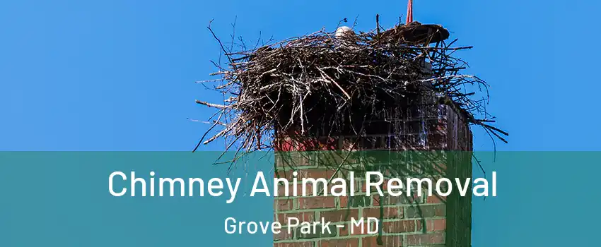 Chimney Animal Removal Grove Park - MD