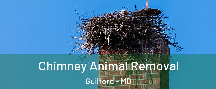 Chimney Animal Removal Guilford - MD