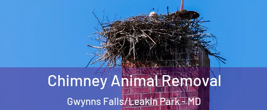 Chimney Animal Removal Gwynns Falls/Leakin Park - MD