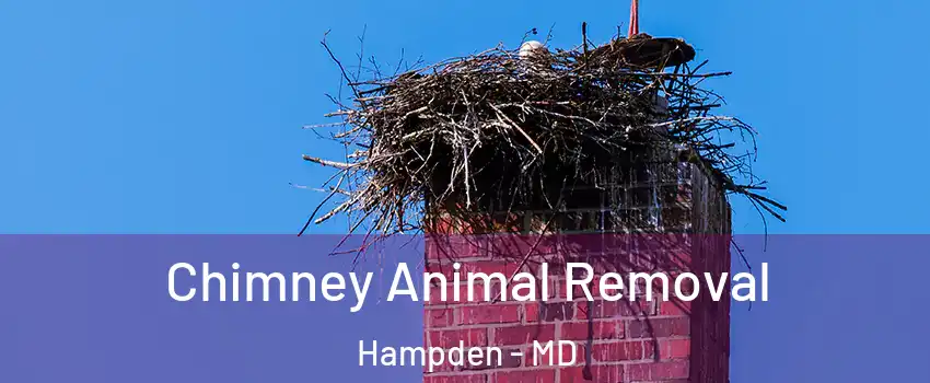Chimney Animal Removal Hampden - MD