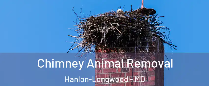Chimney Animal Removal Hanlon-Longwood - MD