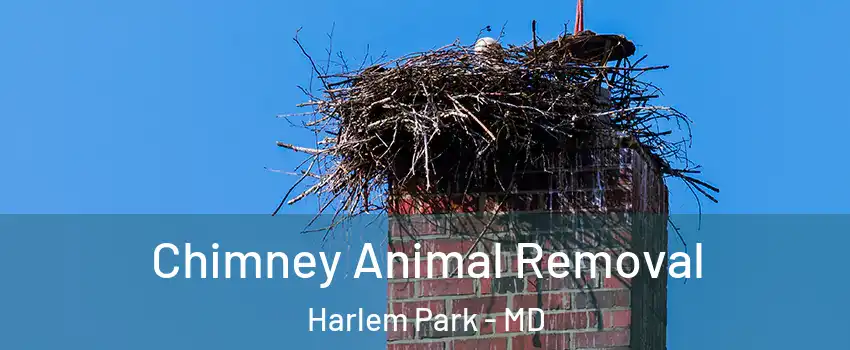 Chimney Animal Removal Harlem Park - MD