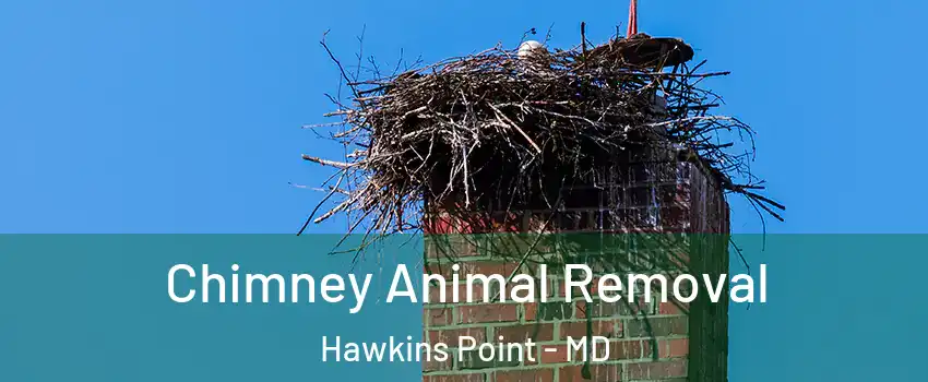 Chimney Animal Removal Hawkins Point - MD