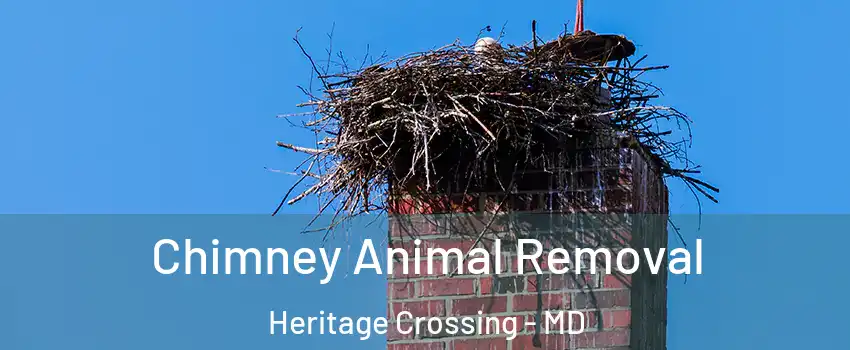Chimney Animal Removal Heritage Crossing - MD