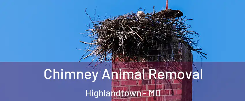 Chimney Animal Removal Highlandtown - MD