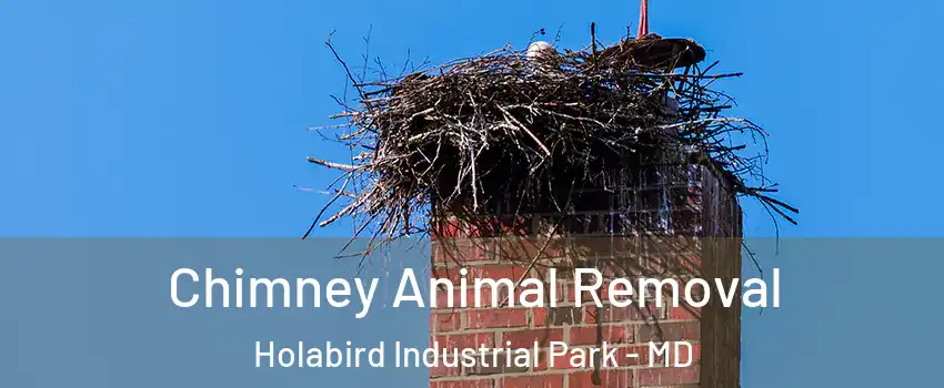 Chimney Animal Removal Holabird Industrial Park - MD