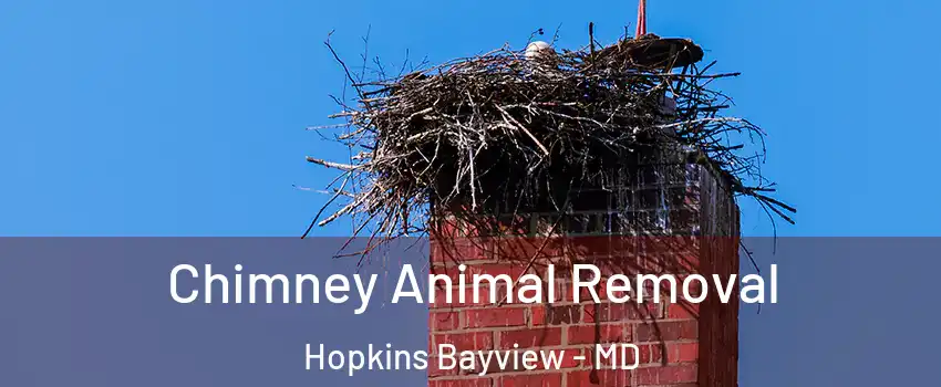 Chimney Animal Removal Hopkins Bayview - MD