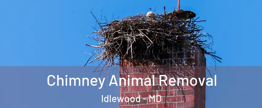 Chimney Animal Removal Idlewood - MD
