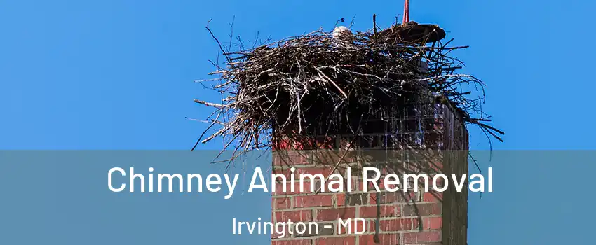 Chimney Animal Removal Irvington - MD