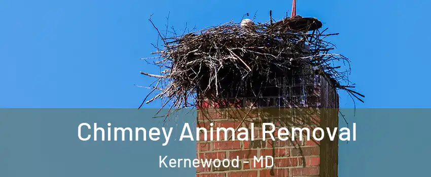 Chimney Animal Removal Kernewood - MD
