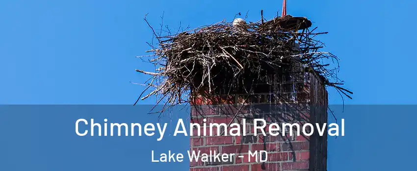 Chimney Animal Removal Lake Walker - MD