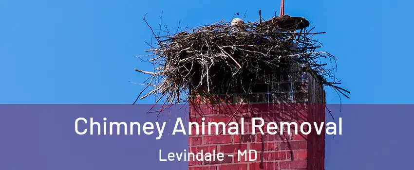 Chimney Animal Removal Levindale - MD