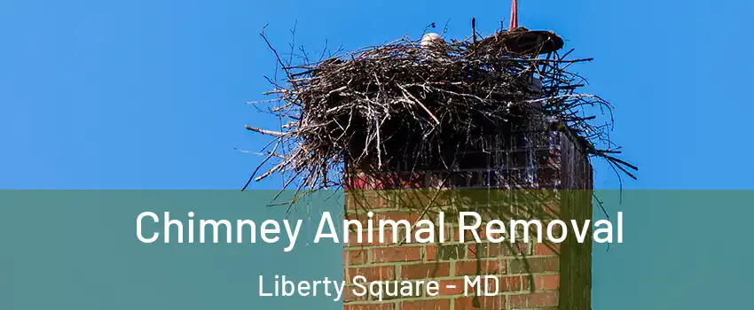 Chimney Animal Removal Liberty Square - MD