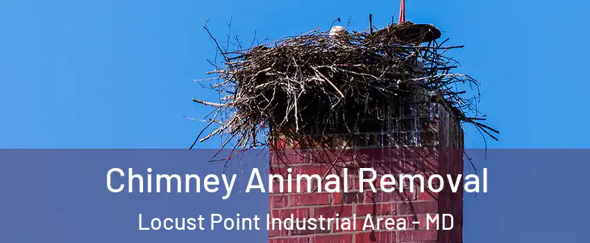 Chimney Animal Removal Locust Point Industrial Area - MD