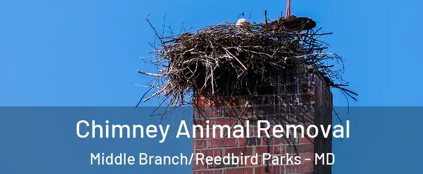 Chimney Animal Removal Middle Branch/Reedbird Parks - MD