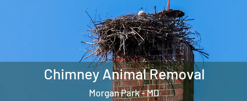 Chimney Animal Removal Morgan Park - MD