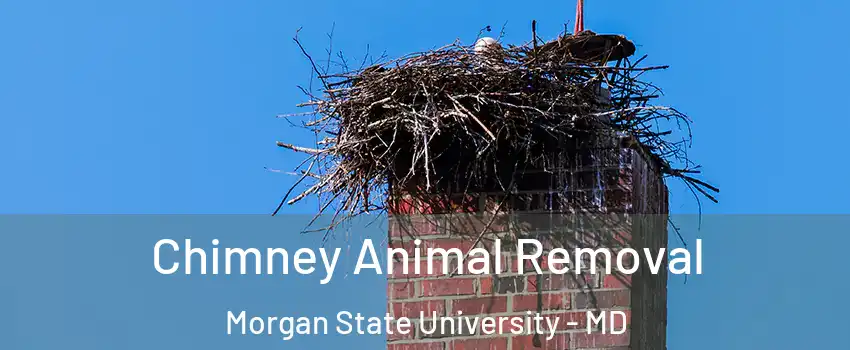 Chimney Animal Removal Morgan State University - MD