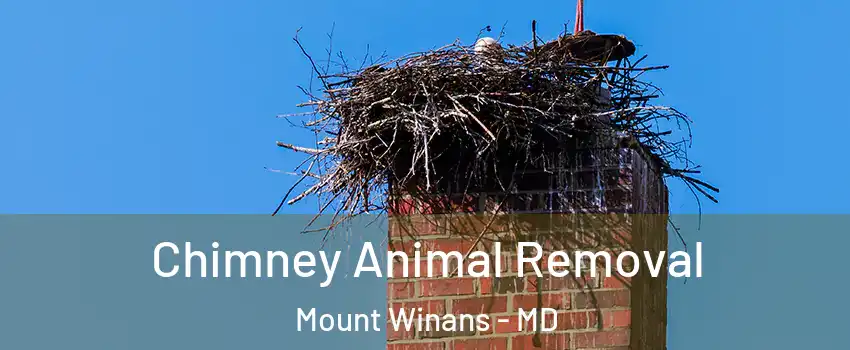 Chimney Animal Removal Mount Winans - MD