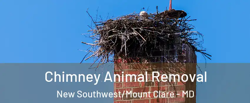 Chimney Animal Removal New Southwest/Mount Clare - MD