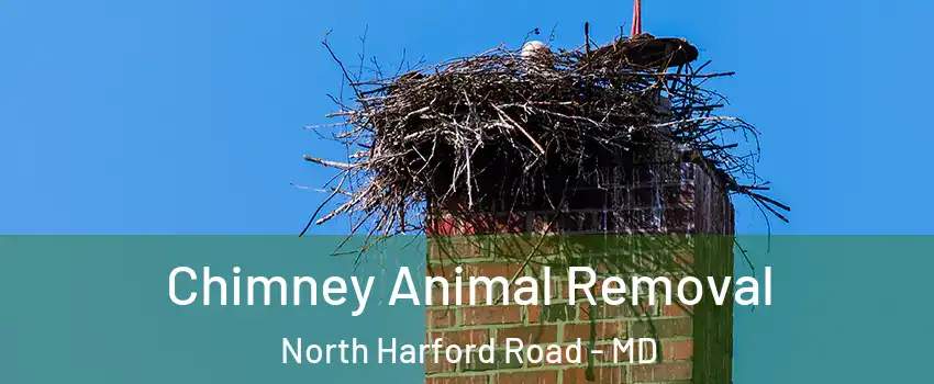 Chimney Animal Removal North Harford Road - MD