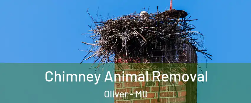 Chimney Animal Removal Oliver - MD