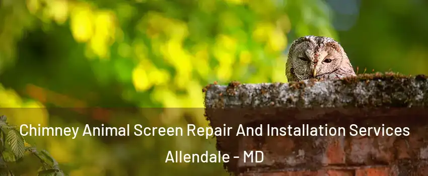 Chimney Animal Screen Repair And Installation Services Allendale - MD