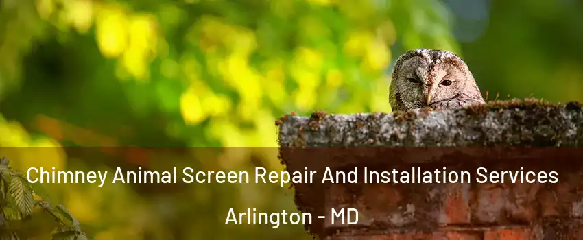 Chimney Animal Screen Repair And Installation Services Arlington - MD