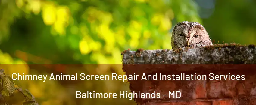 Chimney Animal Screen Repair And Installation Services Baltimore Highlands - MD