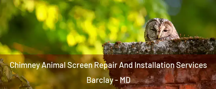 Chimney Animal Screen Repair And Installation Services Barclay - MD