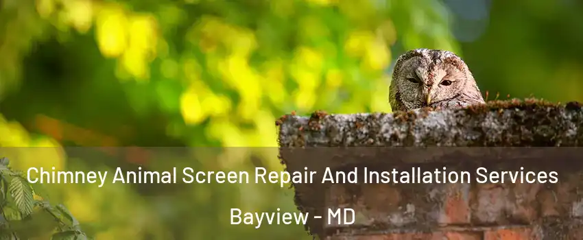 Chimney Animal Screen Repair And Installation Services Bayview - MD