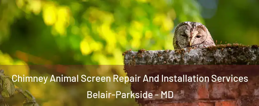 Chimney Animal Screen Repair And Installation Services Belair-Parkside - MD