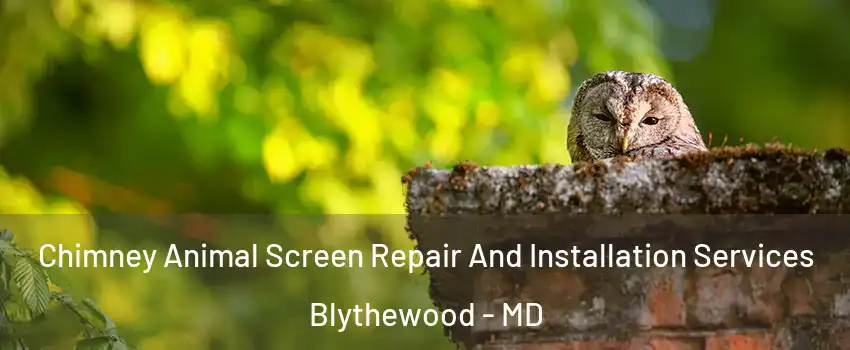 Chimney Animal Screen Repair And Installation Services Blythewood - MD